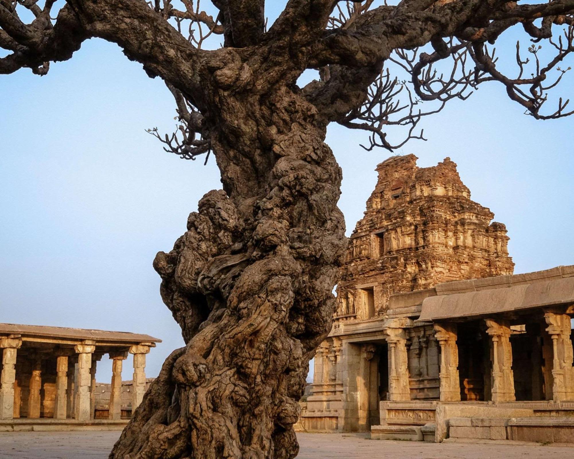 Hyatt Place Hampi Luaran gambar
